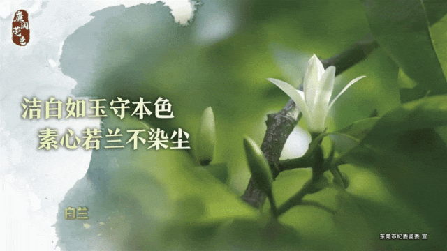 篮球重复训练法举例_1